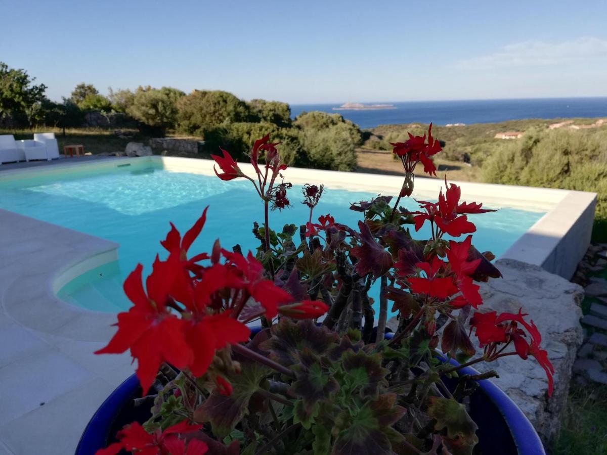 La Sima Con Piscina Vista Mare Sardegna *